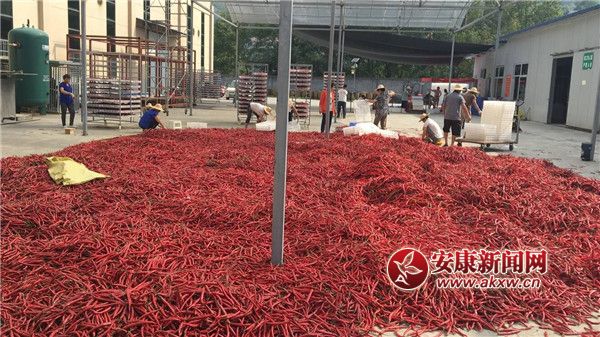 ttĮa(chn)I(y).jpg