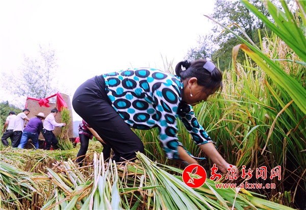 6.ڬF(xin)(chng)ֻҊ(jin)10λֳץһRĔ[“”Ҋ(jin)p