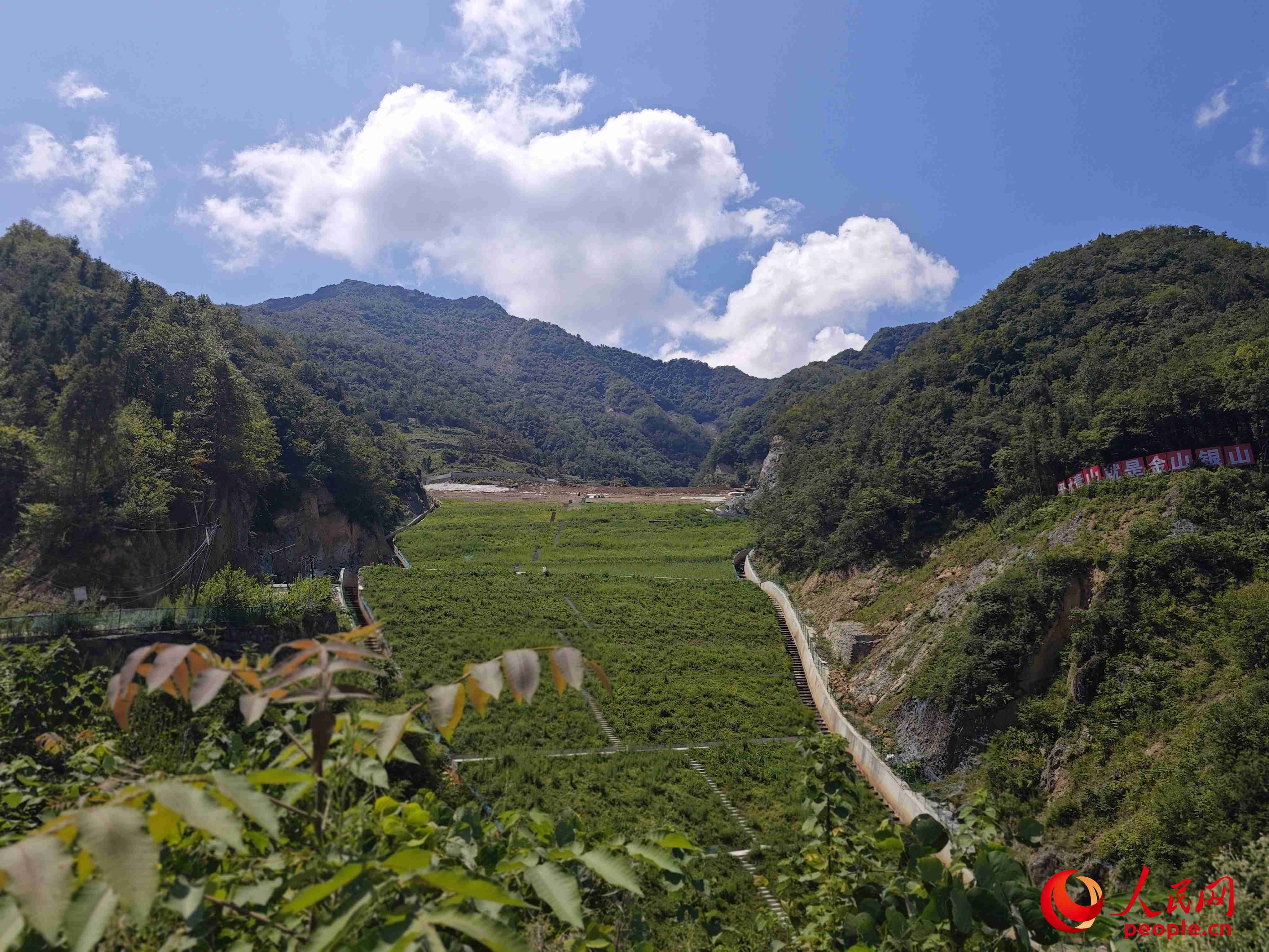 已部分復(fù)綠的貯存場(chǎng)。人民網(wǎng)記者 黃鈺攝